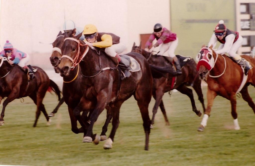 Grecian Gale wins the 1995 George Azzie Memorial Handicap