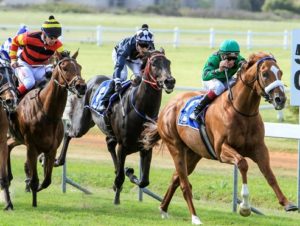 Arezzo wins Listed Settlers Trophy