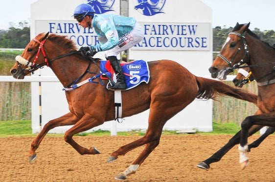 Chili Chocolate wins Walmer Handicap