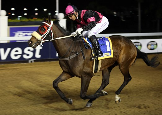 Red Savage wins Greyville maiden