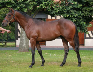 2015 Arqana August Yearling Sale - Lot 119 (Dubawi - Pacifique)