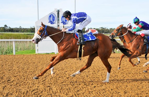 Gogetthesheriff (Raymond Danielson) powers home to nab Kalamain late (Pic: Coastal Photos)