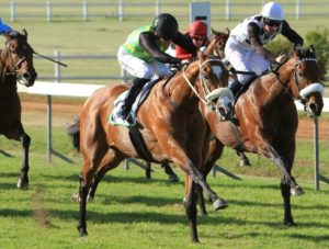 Act Of War wins Matchem Stakes