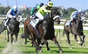 Eighth Wonder wins the Cape Classic