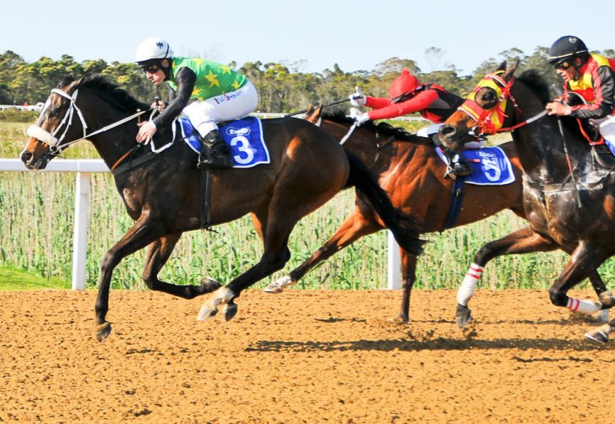 Vauclair wins Cradock Place Srakes