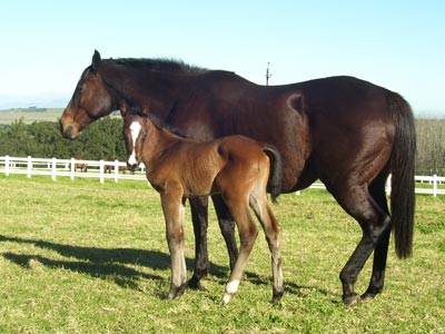 Flashback! The young Vauclair with his mom, Wild Aster