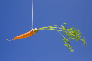carrot, incentive