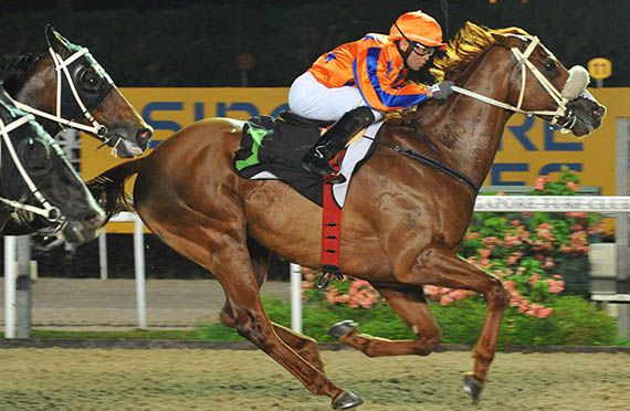 As such we might stick with CLUTHA LAD who we specked at very long odds last Sunday (Pic by Singapore Turf Club)