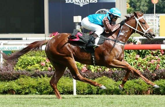 Kiwi Karma (Pic by Singapore Turf Club)