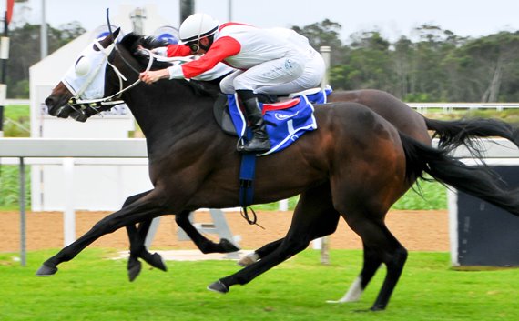 Memphis Mafia wins Guineas Plate