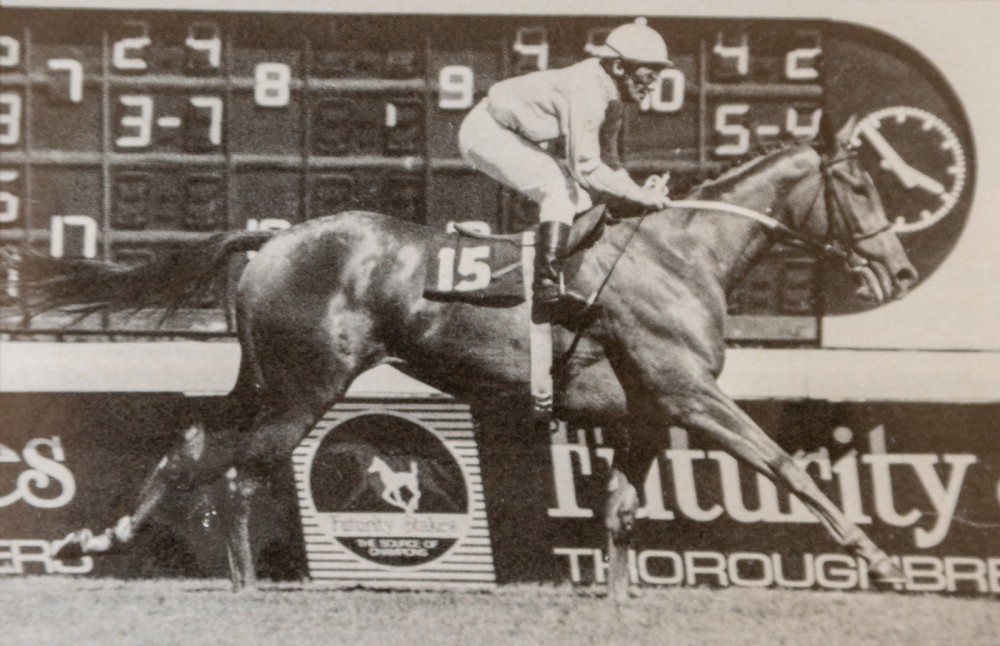 1991 Gr1 Cape Fillies Guineas - STAR EFFORT - finish