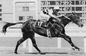 Empress Clubs wins the 1993 Gr1 Queen's Plate