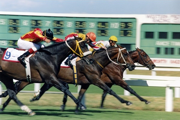 1995 Queen's Plate - Counter Action