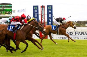 2015 Gr1 Grand Parade Cape Guineas (photo: hamishNIVENPhotography)