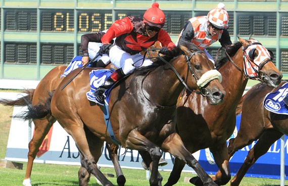 Captain Alfredo wins Southeaster Sprint