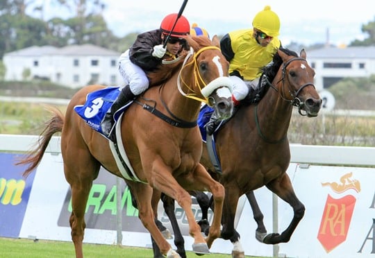 Noah From Goa wins Guineas