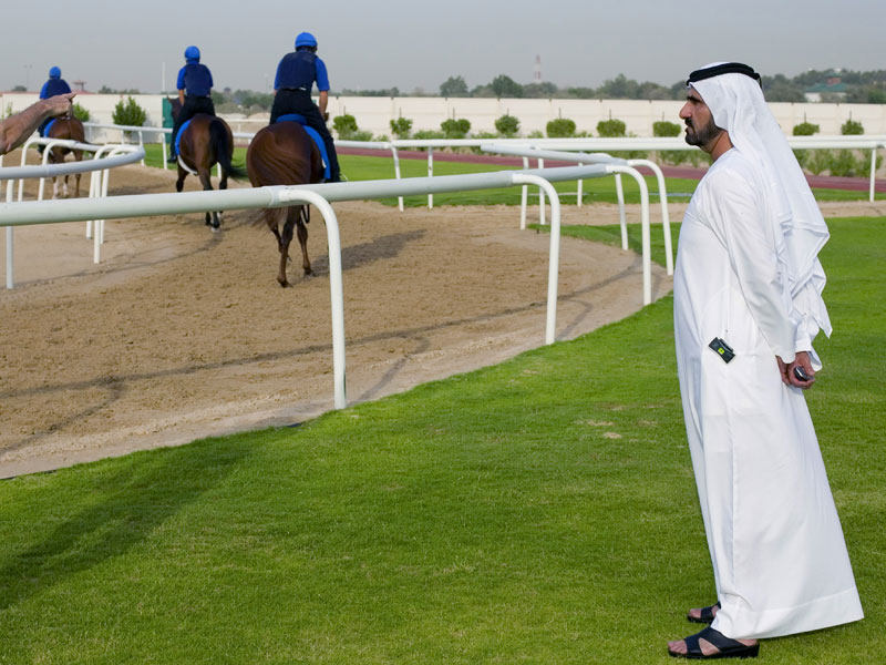 Дубайские скачки. Конюшни шейха в Дубае. ОАЭ конюшни шейхов. Конюшня шейхов в арабских Эмиратах. Конюшня в Абу Даби.