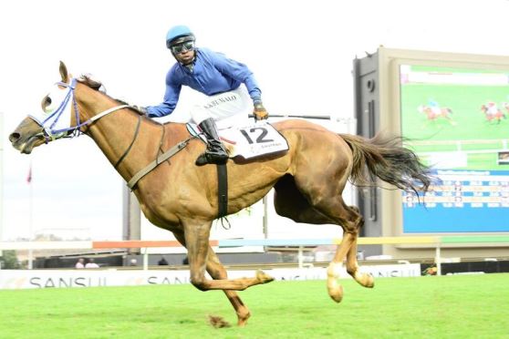 Supertube wins Racing Association Handicap