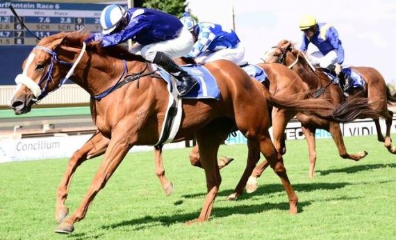 Suyoof wins L Secretariat Stakes