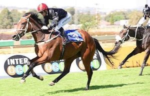 Tough filly - Noor