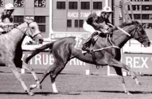 Mill Hill wins the 1988 Rex Trueform Championship