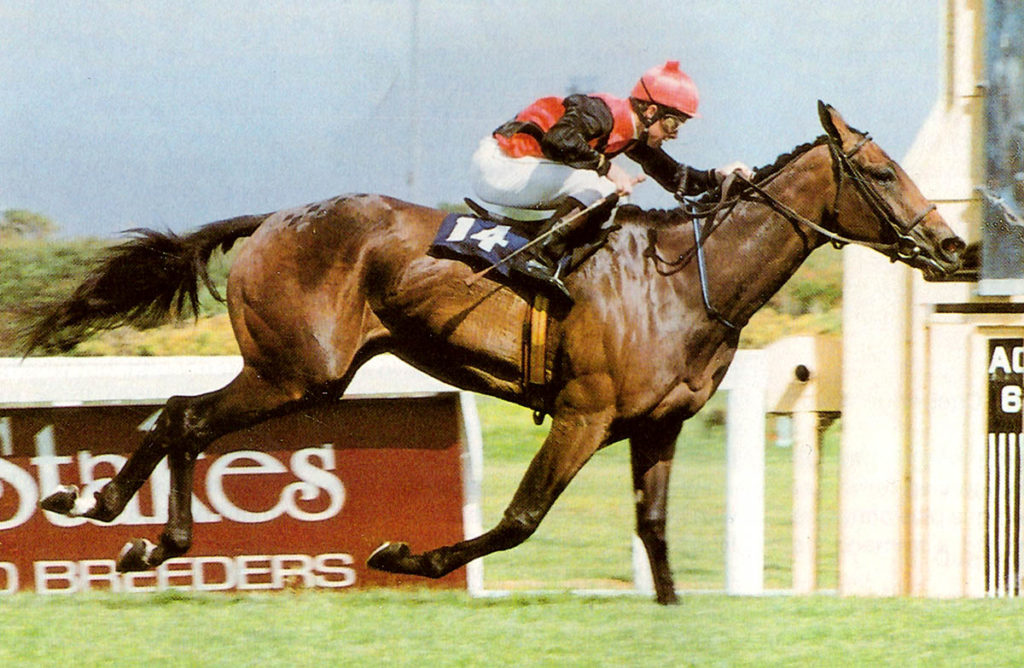 Olympic Duel winning the 1990 Gr1 Cape Fillies Guineas