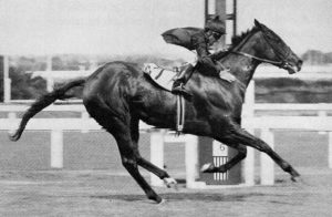 Olympic Duel winning the 1990 Gr1 Paddock Stakes