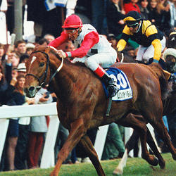London News wins the 1996 Rothmans July