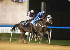 Alareef and Paul Hanagan start the MDK juggernaut, winning the Al Forsan At Bab Al Shams Handicap (photo: Andrew Watkins)