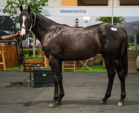 CTS CPYS Lot 37 - Silver Coin (Silvano - National Banker) (photo: hamishNIVENPhotography)