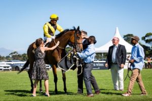 2016 Gr1 Paddock Stakes winner Smart Call (photo: hamishNIVENPhotography)