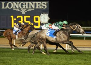 Fanciful Angel wins Meydan Hotel Handicap