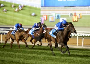 Jungle Cat wins Shiba At The Meydan Hotel handicap (photo: Andrew Watkins)