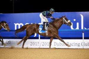 Cool Cowboy wins Terrace Brunch At Meydan Racecourse Handicap (photo: Andrew Watkins)