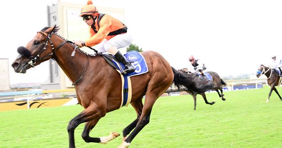 Zarl Zechner steers Abashiri to a facile win (Pic-JC Photos)