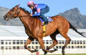 Captain Ameica Met Gallops