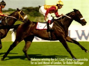 Flobayou wins the 1996 Cape Flying Championship