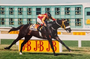 La Fabulous wins the 1996 J&B Met