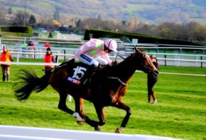 Vautour wins the Supreme Novices' Hurdle at Cheltenham (photo: Dave Boylan)