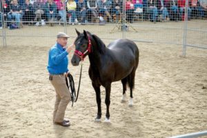 Monty Roberts