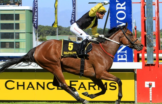 Smart Call wins Paddock Stakes