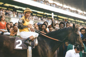 Forego, 1976 Woodward Winner's Circle, photo from Thoroughbredmemories.com
