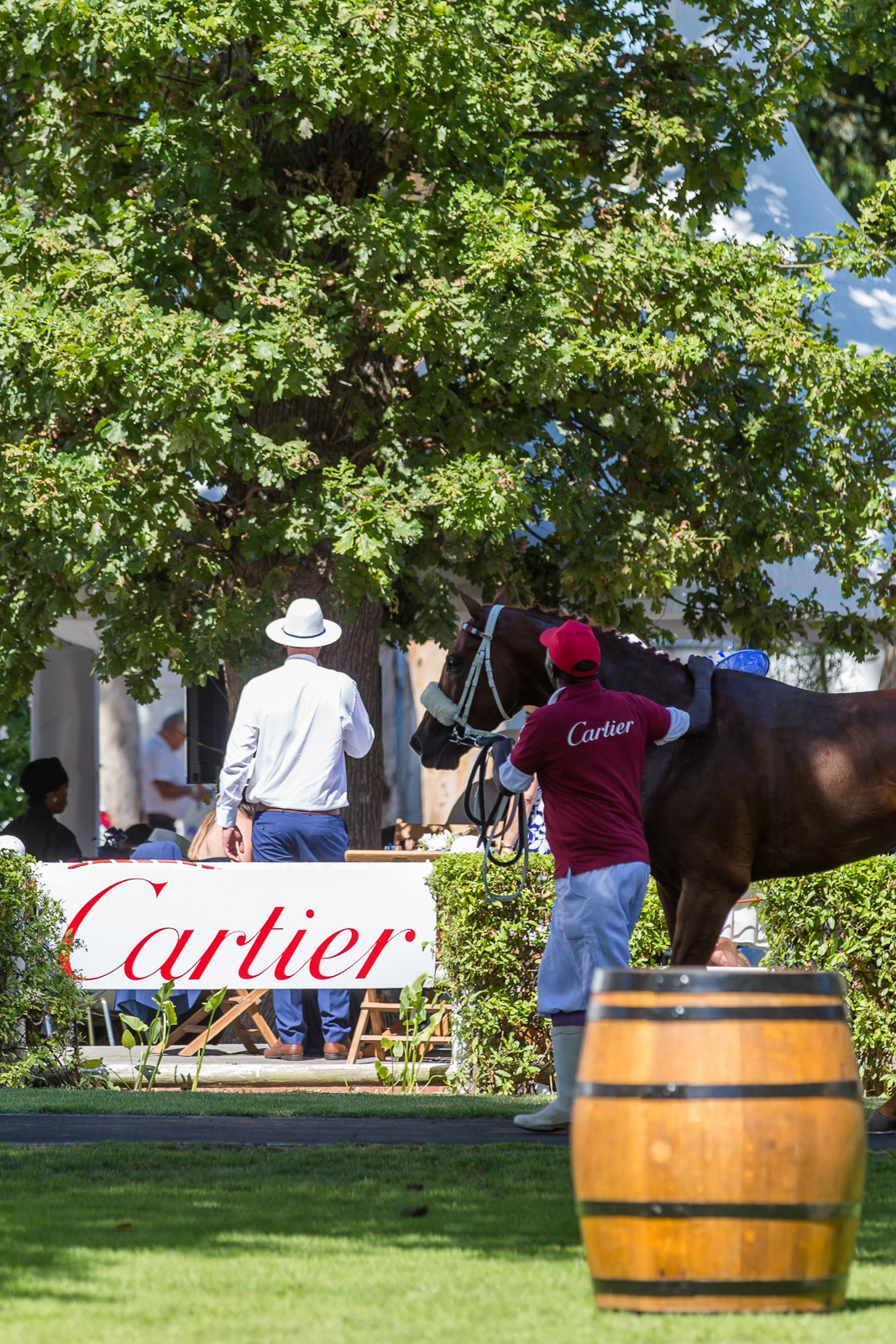 2016 Queen's Plate (photo: hamishNIVENPhotography)