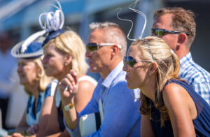 2016 Queen's Plate (photo: hamishNIVENPhotography)