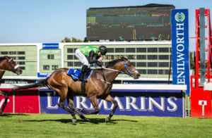 2016 Gr1 Queen's Plate winner, Legal Eagle (photo: hamishNIVENPhotography)