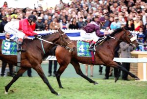 2003 Vodacom Durban July, Dynasty