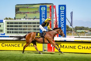 Smart Call wins the 2016 Paddock Stakes (photo: hamishNIVENPhotography)