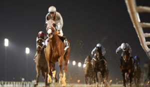 California Chrome wins Transgulf Electromechanical Trophy (photo: Andrew Watkins)