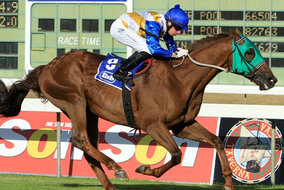 Big Cat wins Cape Mile