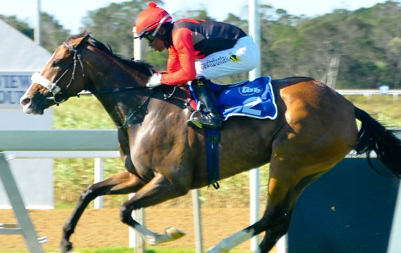 Cup Cake wins Breeders Guineas Plate